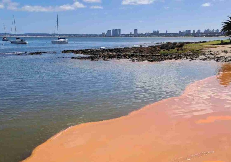 Lo que tiñó el agua de naranja en Punta del Este no es contaminación: son noctilucas