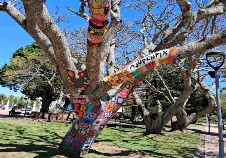Tejedoras de Piriápolis transforman Plaza Artigas con arte urbano textil