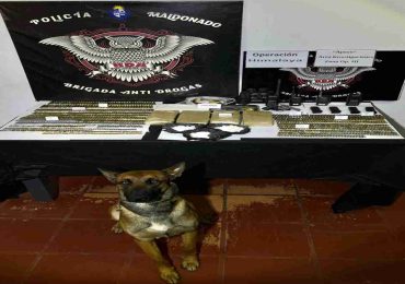 Drogas, armas y municiones: así fue el último allanamiento de la Operación Himalaya