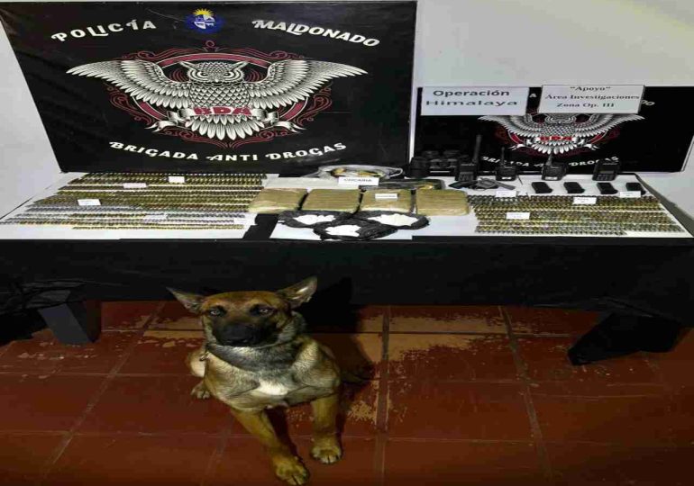 Drogas, armas y municiones: así fue el último allanamiento de la Operación Himalaya