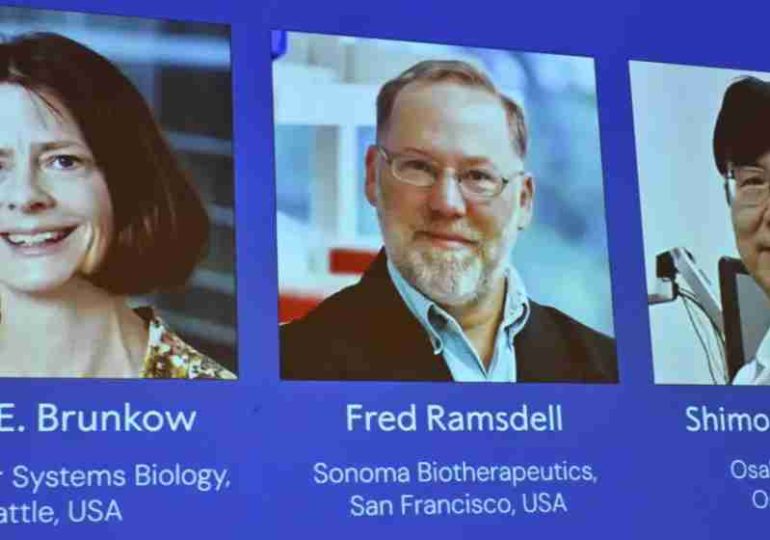 Nobel de Medicina 2025 a avances sobre el sistema inmune