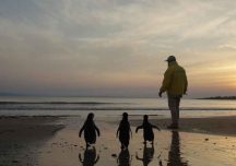 Documental sobre SOS Rescate de Fauna Marina gana premio internacional
