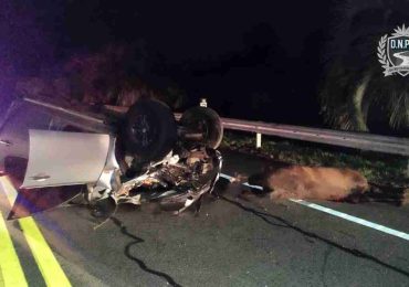 Dos accidentes con equinos en Durazno y Castillos dejan cuatro personas con lesiones leves