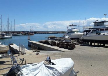 Elefante marino de una tonelada y media apareció en el puerto de Piriápolis