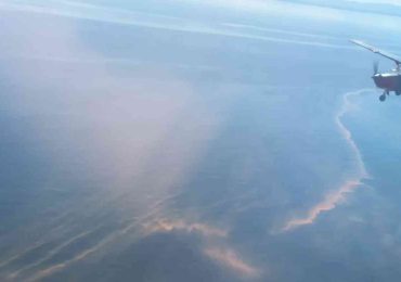 La Armada confirma que la coloración en el mar de Punta del Este se debe a un organismo bioluminiscente