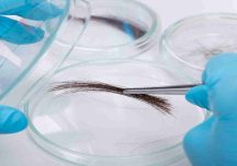 Piriápolis forma parte de un estudio sobre niveles de mercurio en la costa uruguaya