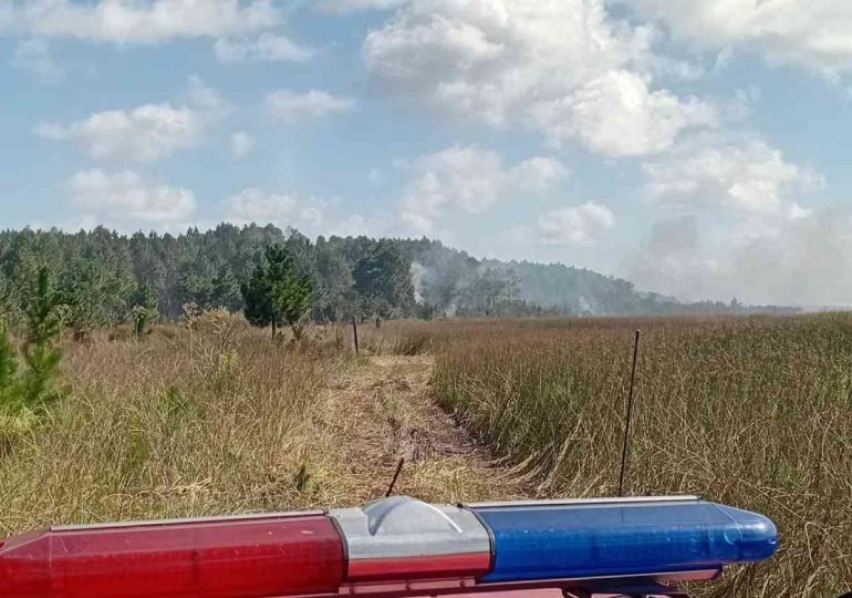 Controlado el incendio forestal en La Esmeralda – Laguna Negra