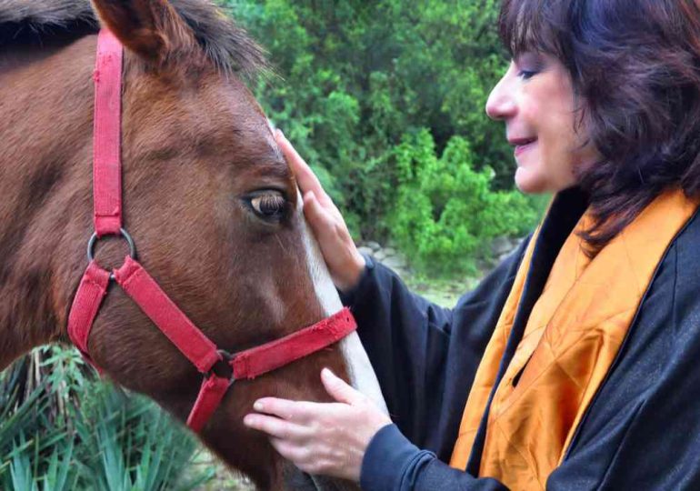 Ludovica Squirru presenta en Piriápolis su libro Horóscopo chino 2026: Año del Caballo de Fuego