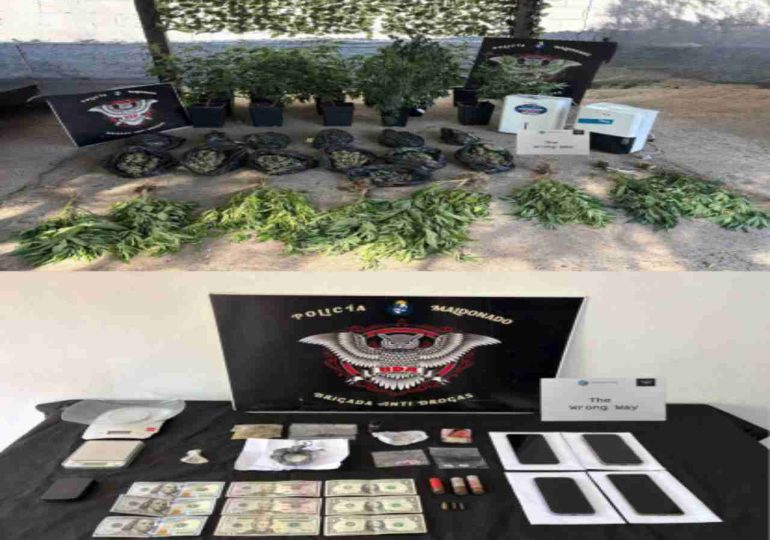 Dos hombres condenados a prisión y otro formalizado por producción y suministro de drogas