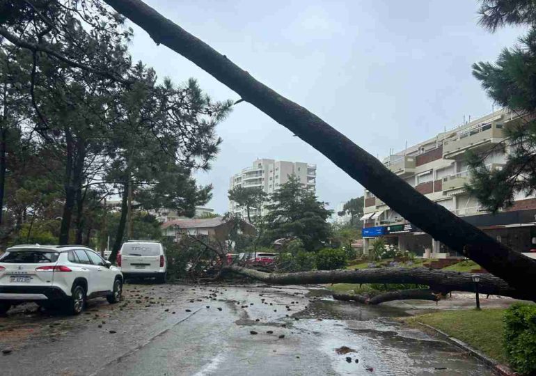 Alerta amarilla y naranja por vientos persistentes