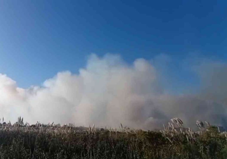 Bomberos controlan incendio de campo en Neptunia Norte