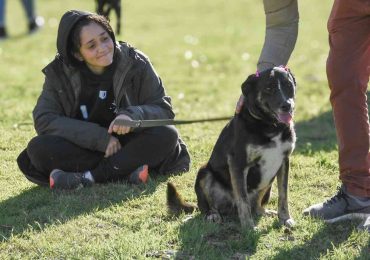 Bienestar animal: este viernes 20 de marzo habrá guardia de castraciones caninas