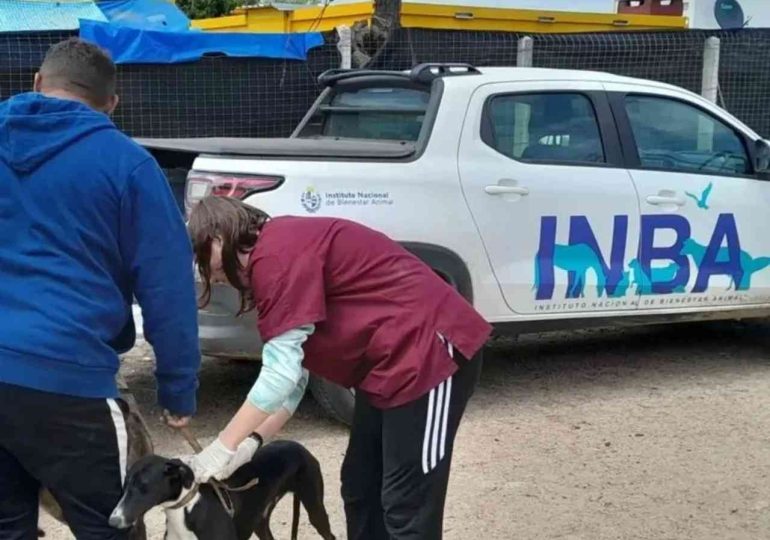 INBA e intendencias coordinan políticas de bienestar animal