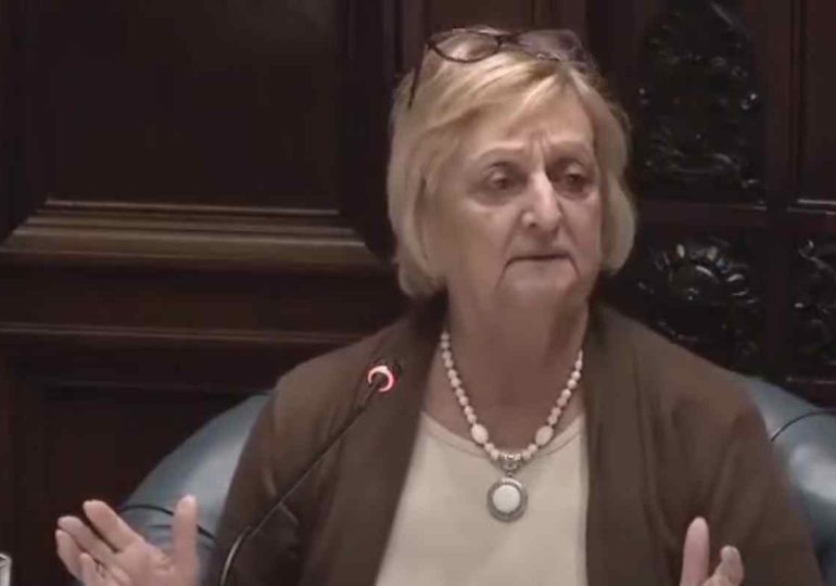 Kechichian apuntó a la oposición por “bloqueo permanente”