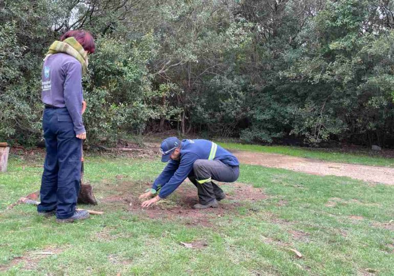 Plantan especies nativas en la ECFA por el Día de la Tierra