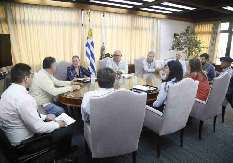 IDM avanza en la redacción de un llamado público para la cogestión del refugio departamental de animales