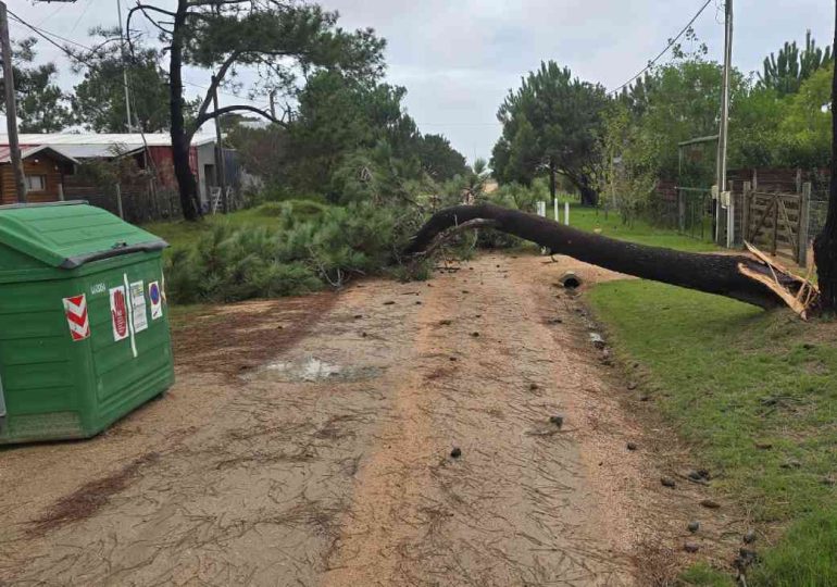 Más de 20 intervenciones en la Comarca de los Cerros y el Mar tras el paso del ciclón