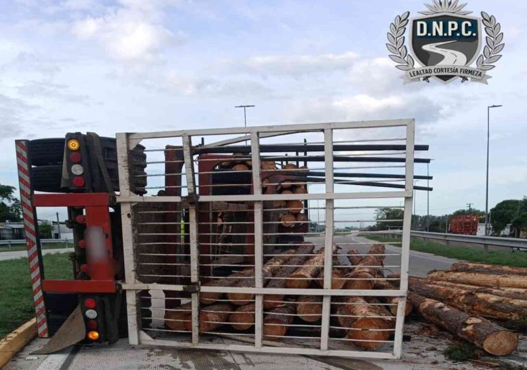 Vuelco de zorra cargada de madera generó corte de tránsito en Ruta 5