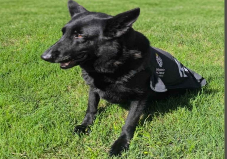 Can "Jari" encuentra a adulto mayor desaparecido en Maldonado