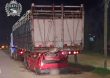 Siniestro fatal en Ruta 5: mujer murió tras chocar contra un camión estacionado