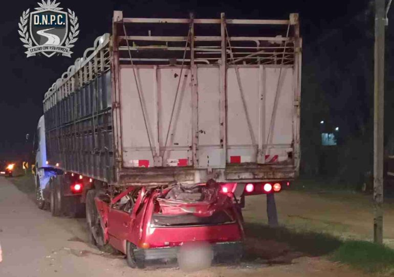 Siniestro fatal en Ruta 5: mujer murió tras chocar contra un camión estacionado