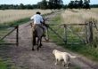Uruguay celebra cada 30 de abril el Día del Trabajador Rural