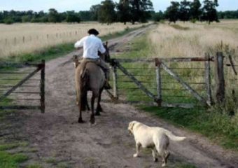 Uruguay celebra cada 30 de abril el Día del Trabajador Rural