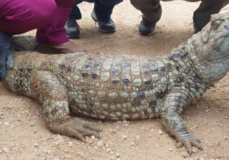 Evaluación sanitaria en la ECFA confirma el buen estado de los animales