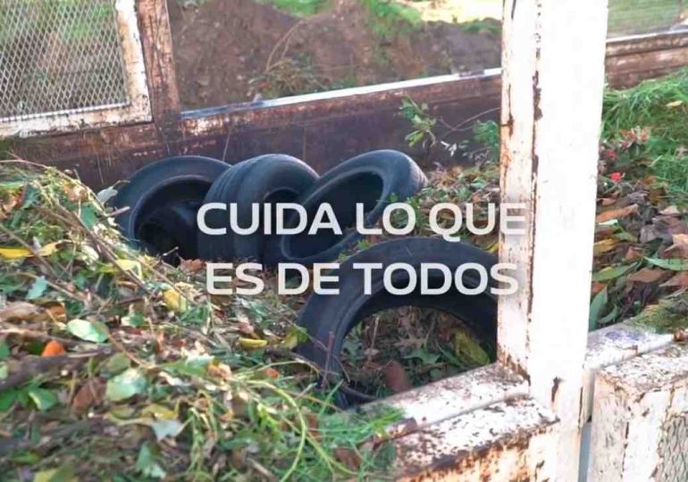 Cajas de podas: un Maldonado más limpio no es el que más se limpia, es el que menos ensucia