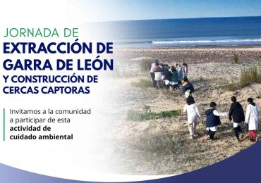 Solís Grande realizará jornadas de extracción de “Garra de León” y protección costera