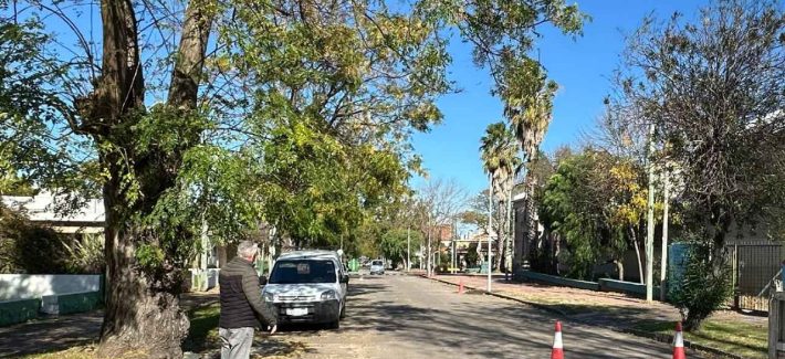 Renuevan el alumbrado en cinco cuadras de calle Sanabria