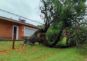 Municipio de Piriápolis mantiene operativo de limpieza y recuperación tras el tempora