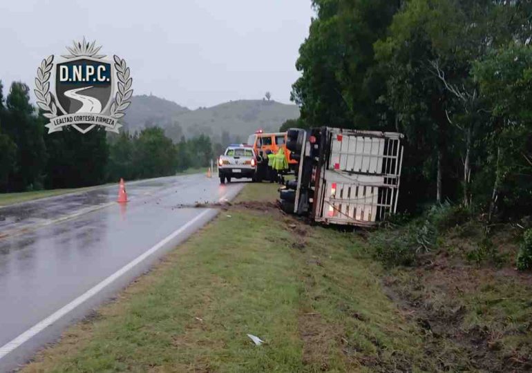 Camionero de 77 años murió tras volcar en Ruta 13 con carga de ganado