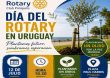 Rotary Club Piriápolis celebrará el Día del Rotary en Uruguay con la plantación de un olivo