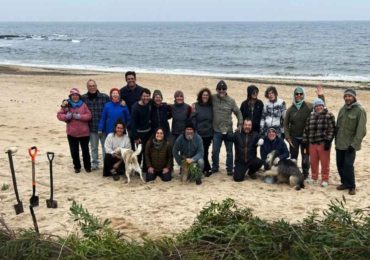 Convocan a una nueva jornada de instalación de cercas captoras en Playa Lamas