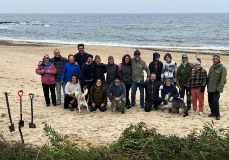 Convocan a una nueva jornada de instalación de cercas captoras en Playa Lamas