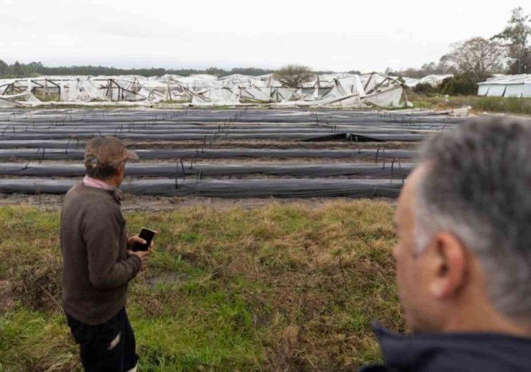 Gobierno decretó emergencia granjera en Salto por temporal que afectó a unos 300 productores