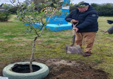 Rotary Club Piriápolis plantó un olivo en el Día del Rotary en Uruguay