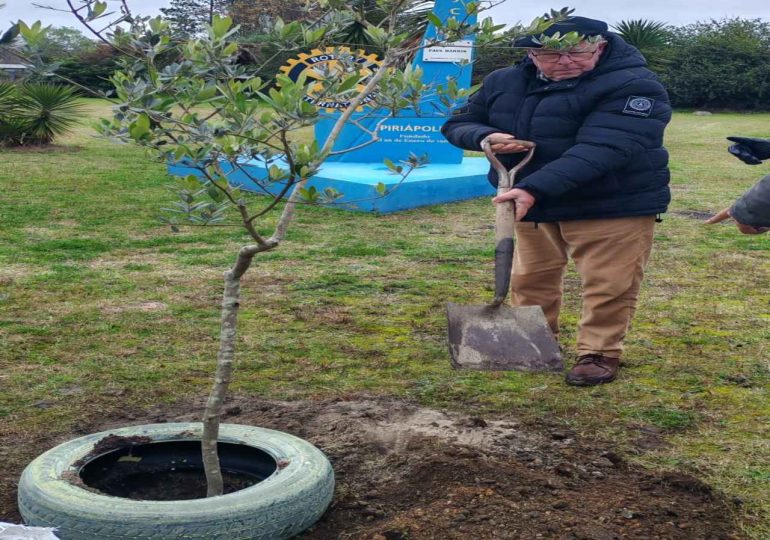 Rotary Club Piriápolis plantó un olivo en el Día del Rotary en Uruguay