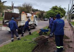 Continúan las tareas de mantenimiento y limpieza en distintos puntos de Piriápolis