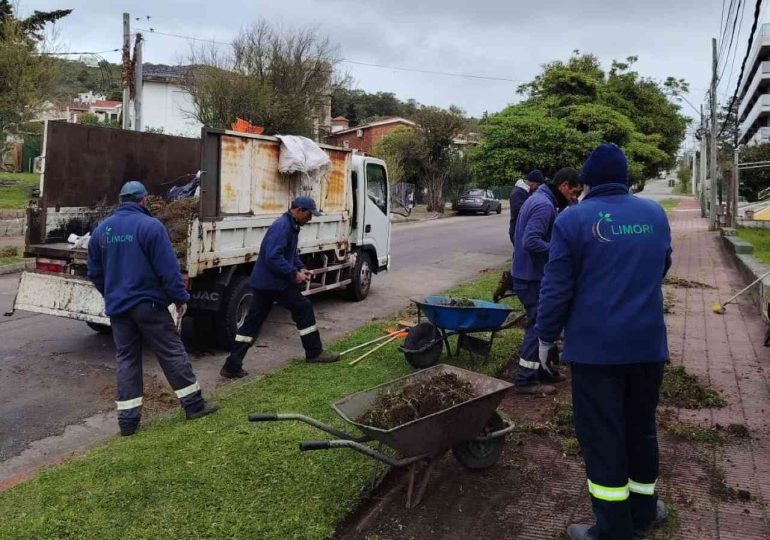 Continúan las tareas de mantenimiento y limpieza en distintos puntos de Piriápolis