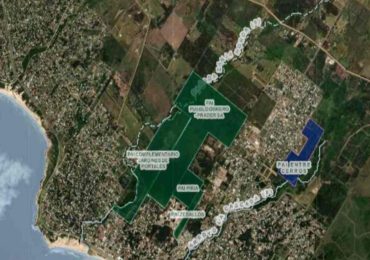 Red Apa cuestiona una nueva recategorización del suelo en Piriápolis